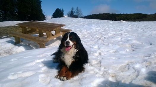 Dou Du Praz