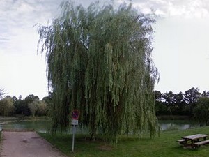 Aire des Landes d'Apign