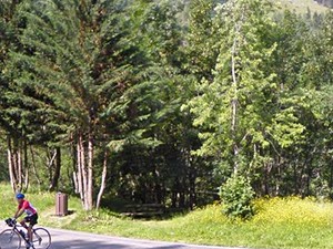 Aire de Sainte Foy-Tarentaise02