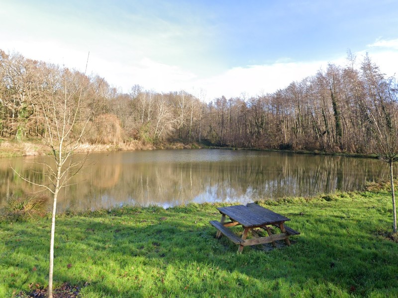 Etang du Griveau