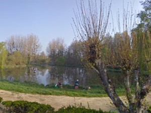 Etang des Marais