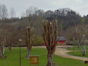 Terrain de l'image