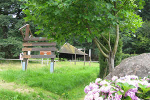 Holzplatz