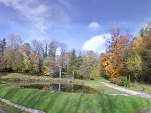 Aire du Bois Banal