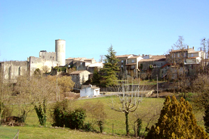 Aire du château de Rauzan