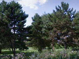 Parc du Plateau