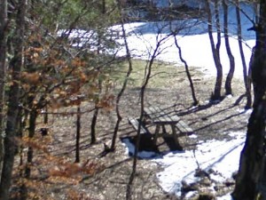 Aire des Gorges du Bruyant