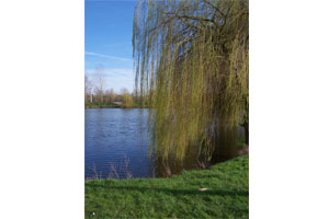 Plan d'eau de Rochefort