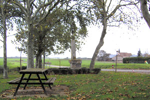 Les Platanes
