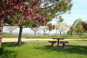 Aire du Deffès