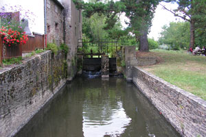 Vault
