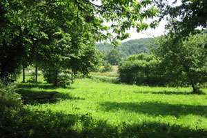 La Belletière