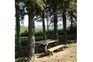 La Croix de Thel