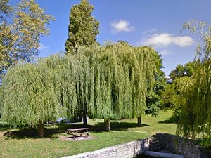 Aire de Coulon