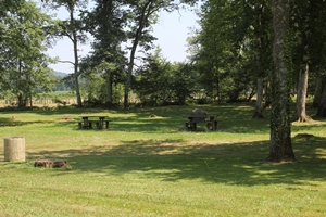 Bois du Baringouste