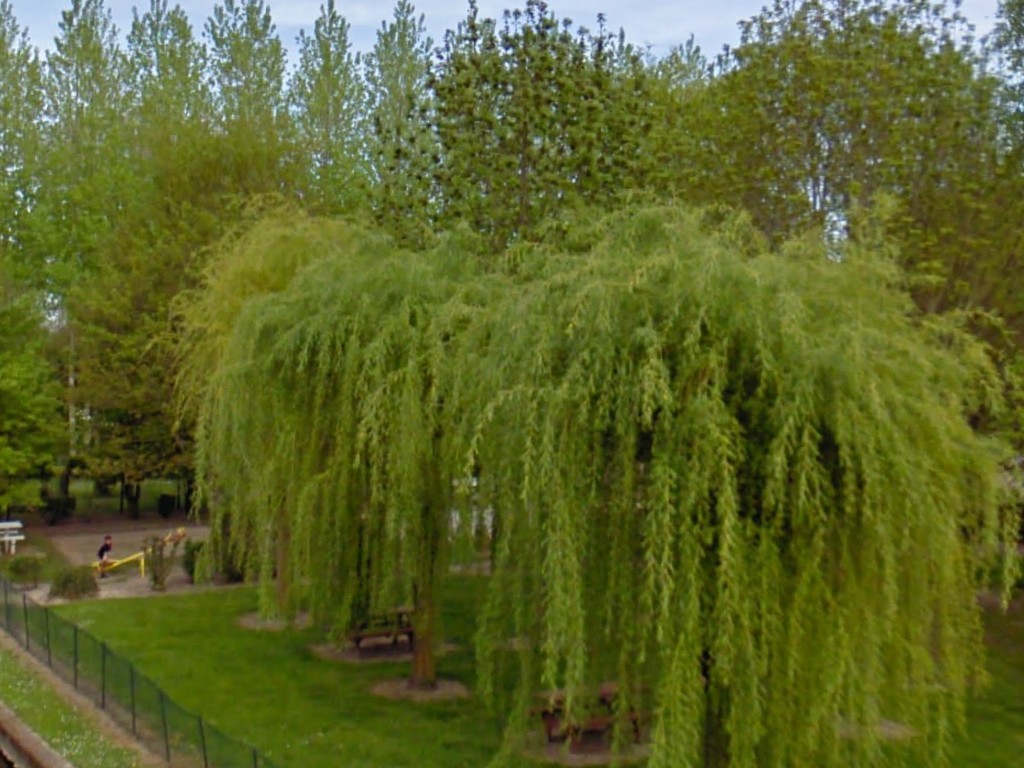 Route de Ternay