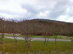 Voutenay-sur-Cure
