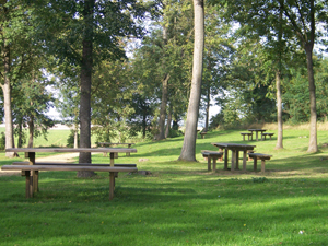 Fort de Condé