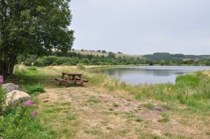 Etang de pêche