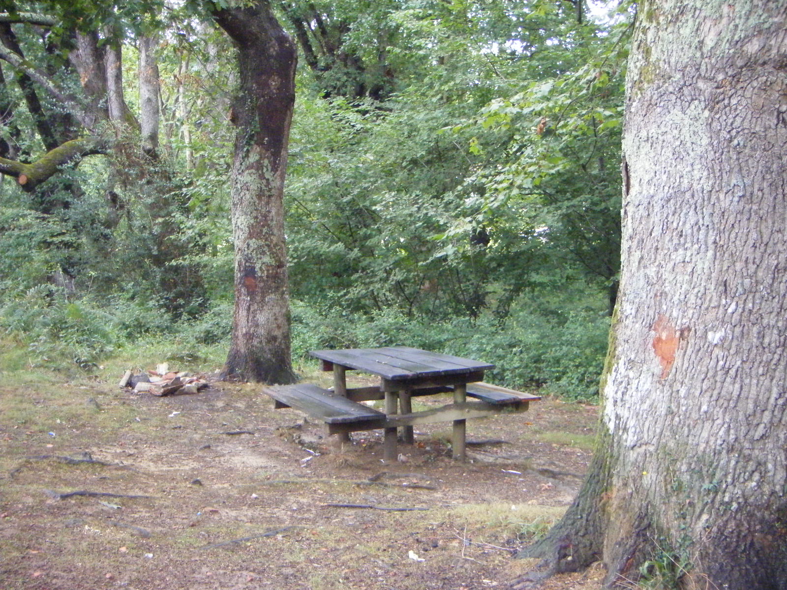 Aire de Saint-Pée-sur-Nivelle