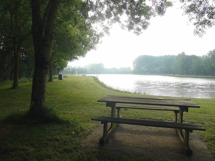 Etang communal