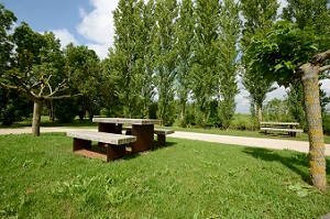 Bois des Laves