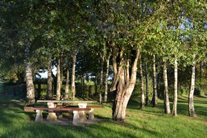 Etang de Montournais