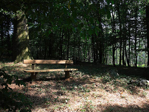 Le Bois de la Folie