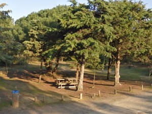 Forêt domaniale de Sion sur l'océan