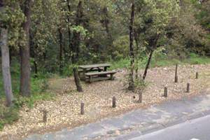 Forêt Domaniale