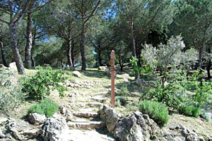 Aire de La Pinède