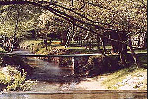Les berges de l’Auzon