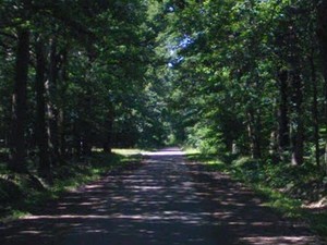 Aire de la Route Forestière de l'Ermitage