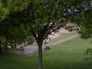 Aire de l'Avenue du Bois de la Pie