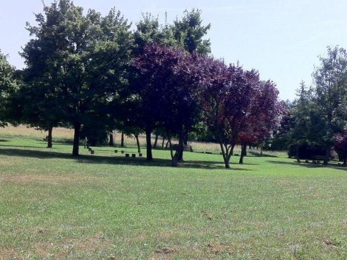 Réchicourt le Château