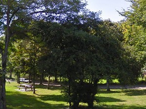Aire de l'Abbaye de Bon Repos