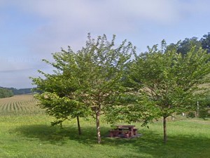 Aire de Beauchalot