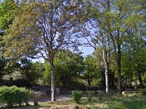 Aire d'Issendolus