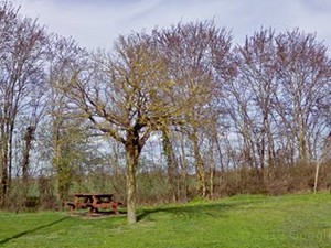 Aire du petit verger