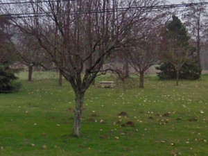 Aires de Miramont de Quercy