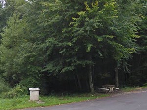 Aire de Colombey-les-Deux-Eglises