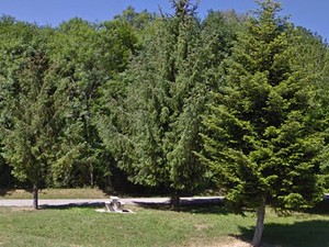Aire du lac