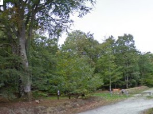 Forêt Domaniale