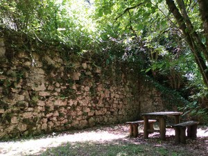 Aire de pique-nique