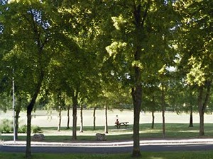 Parc de la Hotoie