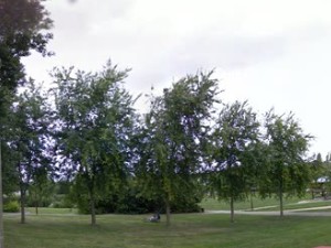 Le Charbonneau