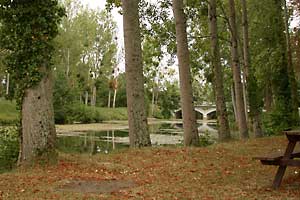 Aire de pique-nique