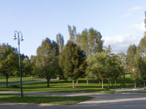 Lac des sapins