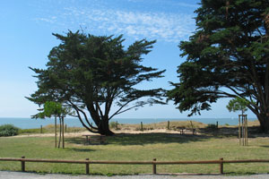 Promenade de l'océan