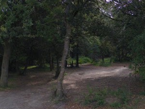 Mesoré